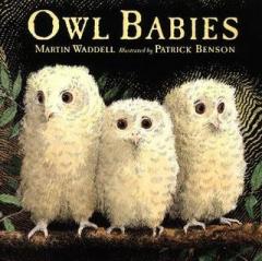 171. 英文原版：Owl Babies