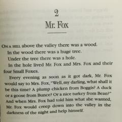 Charpter 2 : Mr. Fox