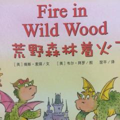 Fire in Wild Wood