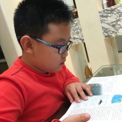 猫先生怎样替猪太太抓耗子