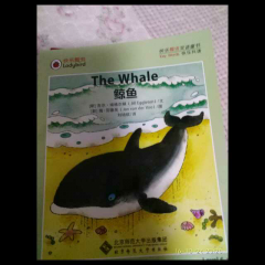 the whale