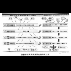 说汉语的人可能比说英语的人更多地使用大脑？