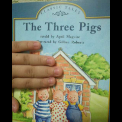 海尼曼G1_41 The three pigs