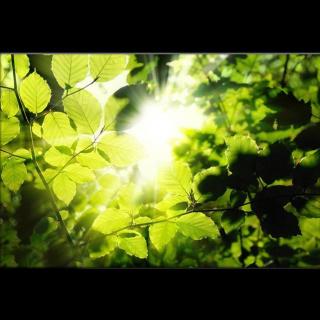 民谣│我要活得像一个孩子，吃着最甜的糖【文/生唐】