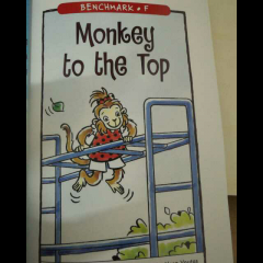 RAZ_F Monkey to the top