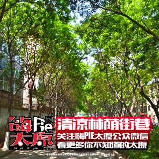 【嗨PIE太原】去太原这些林荫街巷，感受家门口的一丝清凉