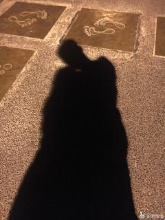 亲爱的八爪鱼先森-170-越是想写，越是不知写什么