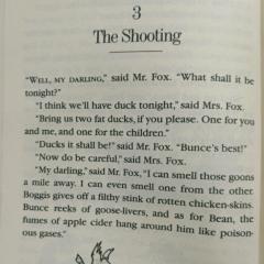 Chapter 3 : The Shooting