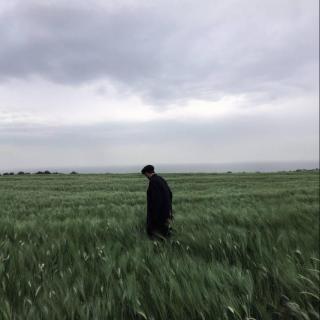 余生，嫁给那个让你做回孩子的人