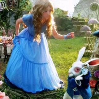 ［兔子送进来一只小比尔］