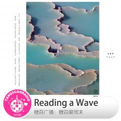 糖蒜爱周末：Reading a Wave