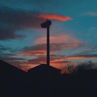 『睡前故事』一百步