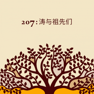 07：涛与祖先们