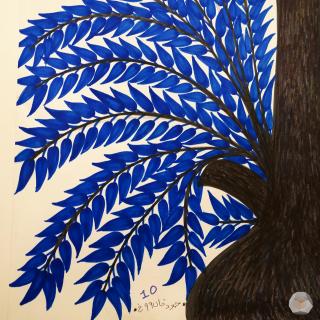 10｜万物皆有灵，树树第一名！