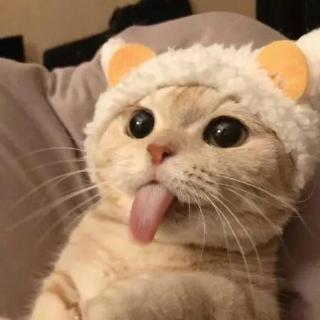 v.106 温柔的睡前小故事