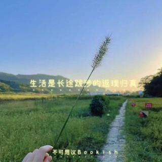 41生活是长途跋涉的返璞归真