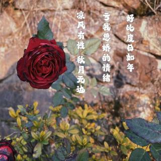 46亲密关系：你让我有些期待这个世界