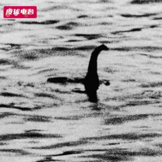 神奇动物｜未知生物奇幻夜