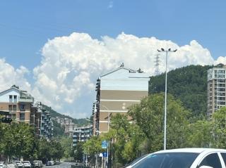 「森森&Alan」淳安县滴天丝雾么滴蓝