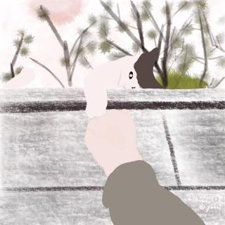 024 读书分享：打碎锁链，一切都是新的开始