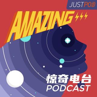 52 刘宇昆的赛博格狐狸