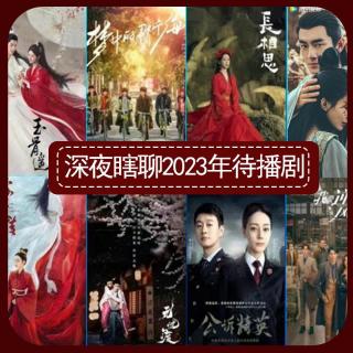 深夜瞎聊2023年待播剧