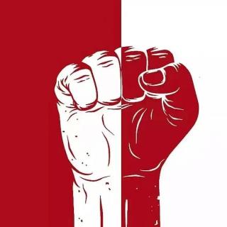 315特辑——你看我像傻子么？