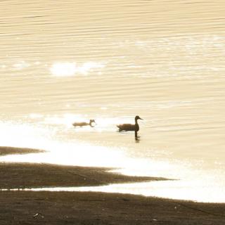 汉水日记读评论之二