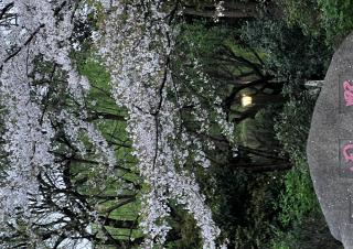 016 期 拿了杭州户口的人居然开始密谋离开杭州！