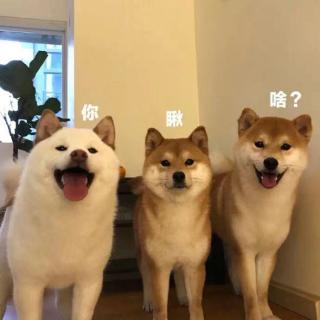 聊南北差异，差点笑出腹肌！