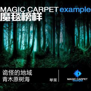 诡怪的地域 青木原树海-琴菜