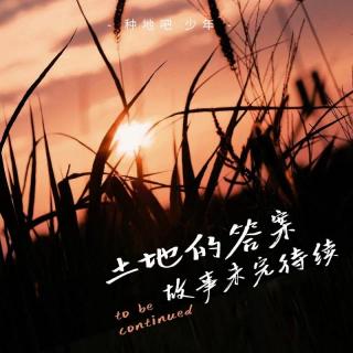 ep99：《 种地吧》娱乐圈还需要土地的答案吗