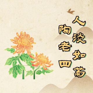 一个正经“菊花精”的故事 看软饭如何硬吃