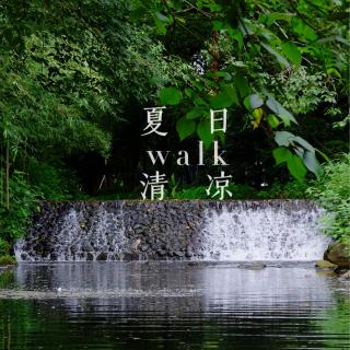 43.夏日清凉walk之从跨虹桥到卧龙桥，乘船看曲院风荷