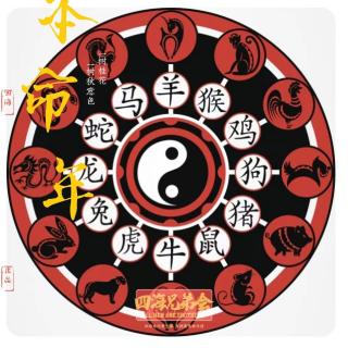 本命年-四海兄弟会206