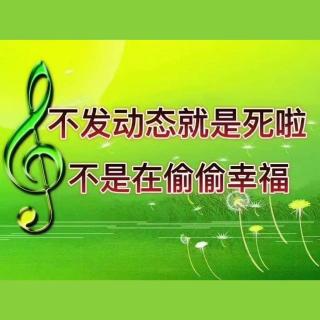 一周年特别节目：断更了，但不是在偷偷幸福 | 三人茶话会 07