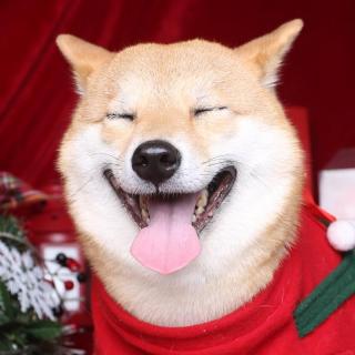 016.跟狗学做人，开心出法令纹