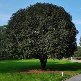 016：离开体制前先去算命？到底行不行|回访柴柴