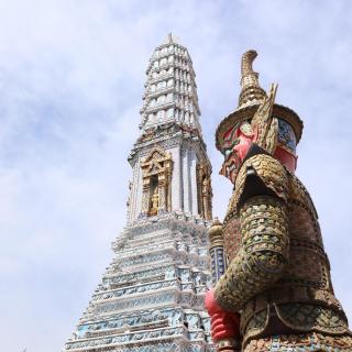 新马泰，这半年咱一个都没落