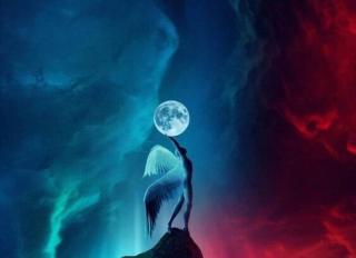 摩羯座新月冥想