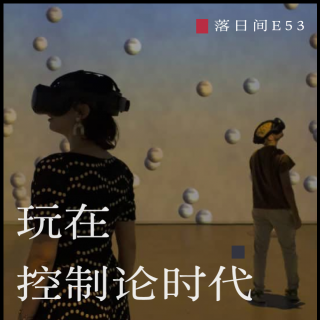 E53 玩在控制论时代