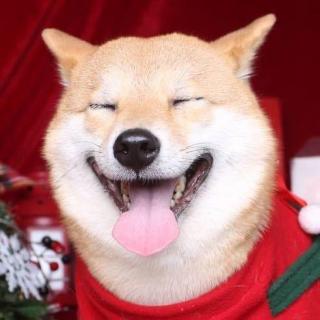 019.年底了，采访一次自己吧！