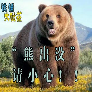 Vol039. 动物伤人∣大家一定小心“熊出没”
