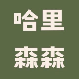 「森森&Cocoa」宜家前夜