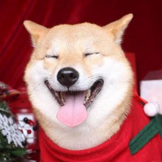 021.这份报告里的居家生活习惯，你认同吗？