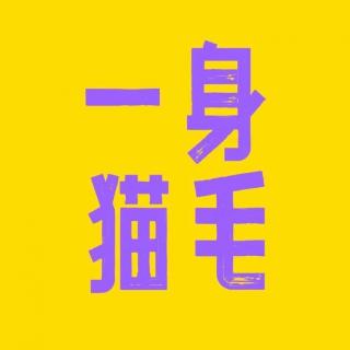 EP.007｜对猫咪的爱，与美无关！