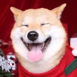 022.有土味短剧的地方，就是我的快乐老家