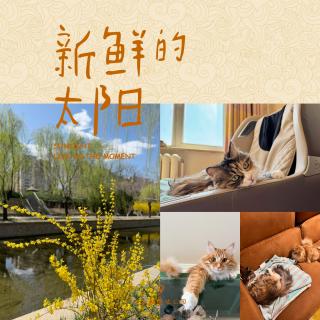 vol. 78  踏春聊碎片（本期无影评）