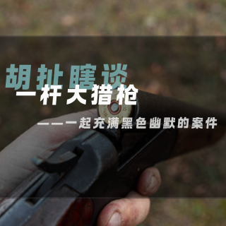 23.一杆大猎枪—一起充满黑色幽默的案件