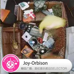 Joy-Orbison·糖蒜爱音乐之The Selector